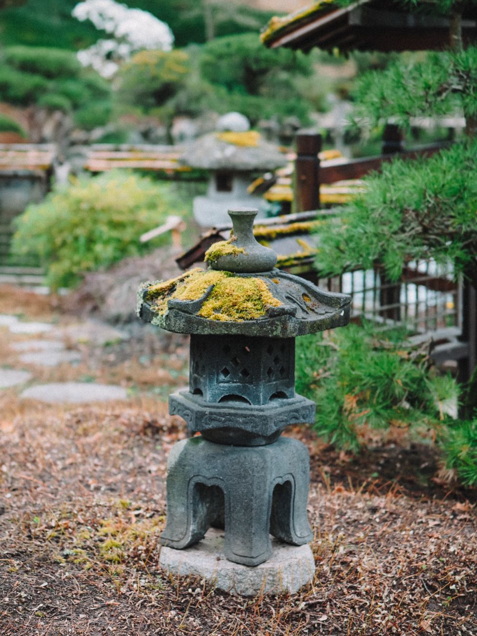 Traditional Japanese tea room with garden view